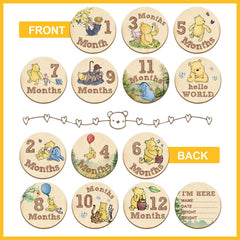 ALodr Winnie double-sided discs offer versatile monthly designs