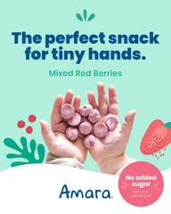 Amara Smoothie Melts serving plate with bite-sized toddler snack ready.