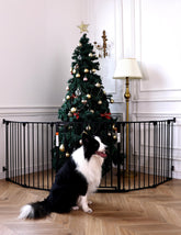 BABELIO gate folded for compact storage and easy transport.