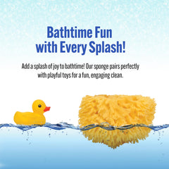 Baby Buddy natural sea sponge, hypoallergenic, ideal for newborn baths.