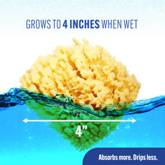 Baby Buddy biodegradable sea sponge provides an eco-friendly cleansing option.