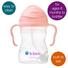 b.box Sippy Cup with easy-grip handles for small hands