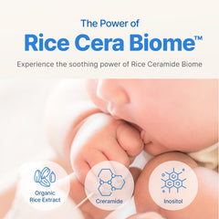 BEBESUP rice ceramide biome ingredients close-up emphasizing hydration.