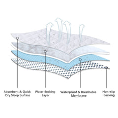 Biloban 4-layer construction balances softness, absorbency, and reliable protection