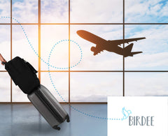 Birdee booster seat bag with shoulder strap enables hands-free travel
