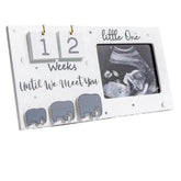 Buachois sonogram frame with elephant design in a wood finish displaying memories.