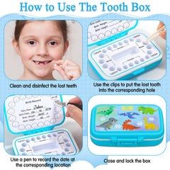 Caffox tooth inner lid date-dial helps record the tooth loss timeline.