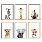 Calmart Jungle Nursery wall art lion portrait for a lively baby room display.