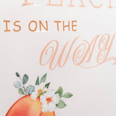 Capiont baby shower decor peach-theme wall enhances cheerful celebration vibes