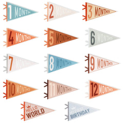 Cecliy baby milestone pennant set in vibrant colors for memorable photos.