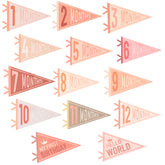 Cecliy 12 month pennant flag to capture monthly milestones in photos