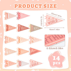 Cecliy Hello World pennant adds a welcoming touch to newborn shoots