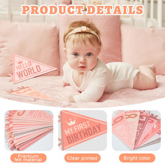 Cecliy My First Birthday pennant highlights the milestone in first year photos