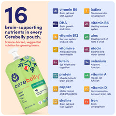 Cerebelly pouch celery-apple-kiwi travel-friendly packaging for daycare or trips.