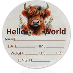 CLHHM hello world sign on birch wood enhances nursery decor and keepsake value.