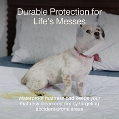 Coop Home Goods bed pad being washed/dried demonstrates easy care