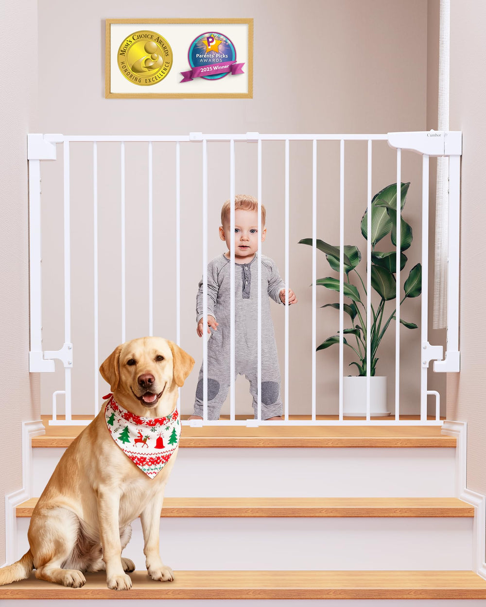 Cumbor baby gate at top of stairs with drill-mounted safety.