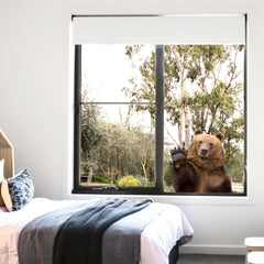 Cute Bear wall decal suits classrooms with easy repositioning and durable color.