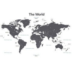 DECOWALL DLT-1609GF world map panel for stylish educational decor