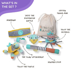 DINGLE DANGLE Turtle rattle attachment adds tactile play.