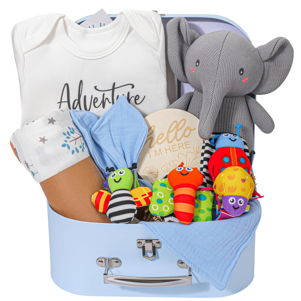 Elysirise baby boy gift basket with plush elephant for cuddles and comfort