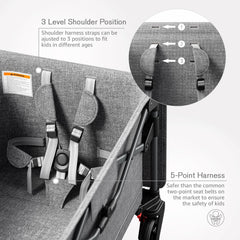 EVER ADVANCED 5-point harness keeps two kids secure and comfortable.