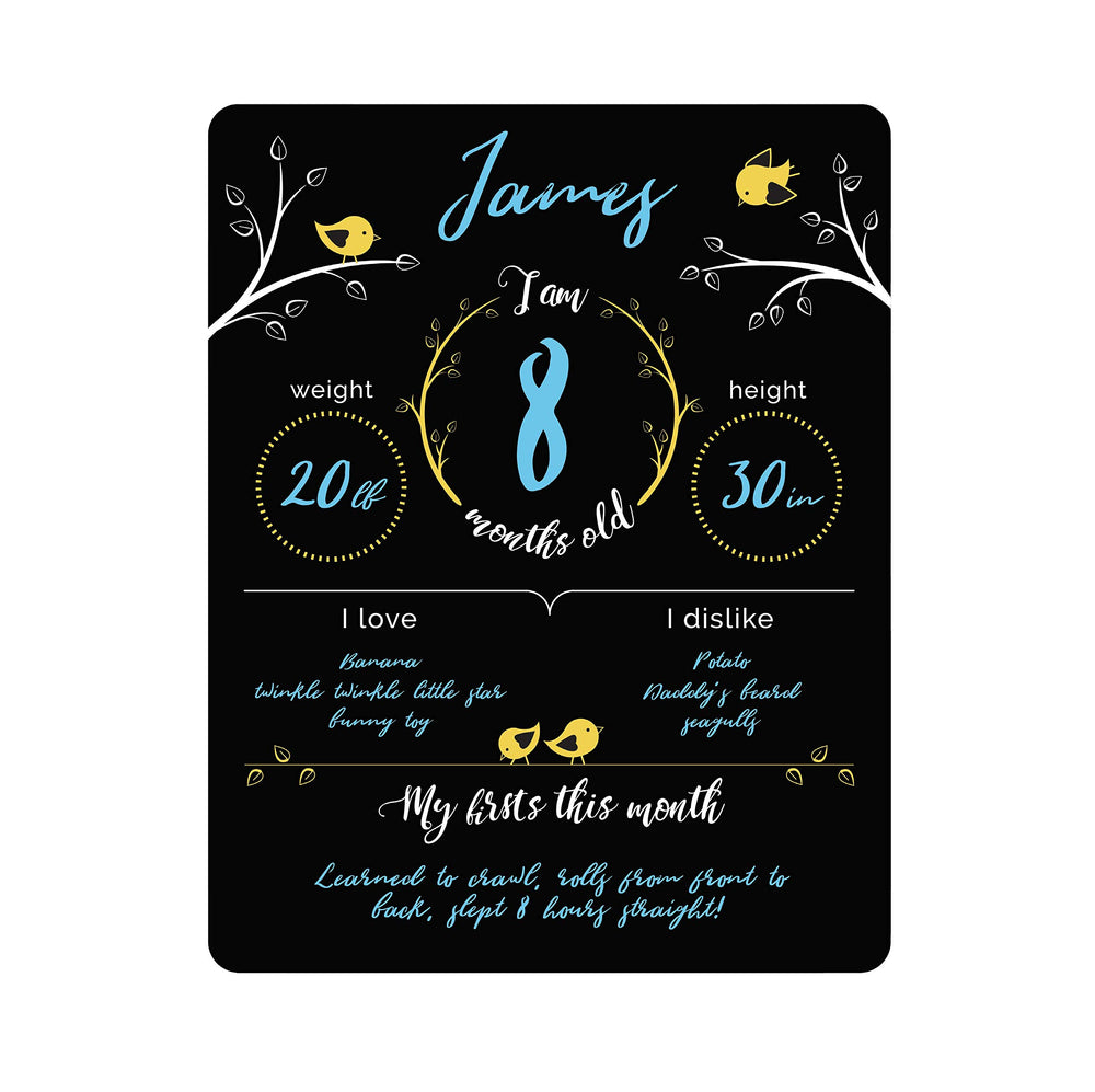Felt Like Sharing baby milestone sign front view for stylish monthly photos.