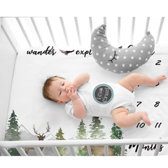 Fundich ivy wreath marker marks each month for photos.
