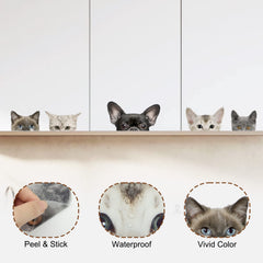 Generic cat head stickers close-up on a white wall show vivid color and removable design.
