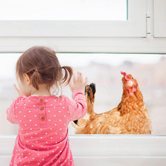 Generic chicken wall decals durable vinyl, washable and removable without wall damage