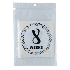 Hycodest pregnancy milestone sticker week 16 documents gentle bump growth for keepsake albums