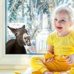iinuu Laughing Donkey wall decal for bathrooms withstands humidity with waterproof appeal.