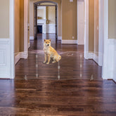 Clear Freestanding Dog Gate for Indoor Use,Pet Gates for Doorways no Drilling,Acrylic Foldable Dog Gate for Stairs with Support Feet (4 Panel - 80''W x 23''H)