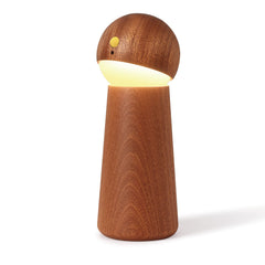 Intelligence voice activated night light on shelf for hands-free convenience.