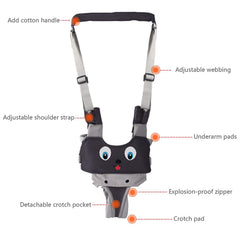 IULONEE 4-in-1 mode supports lifting, pulling, standing, and walking.