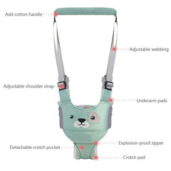 IULONEE baby walker green pulling mode assists guided walking with parent support