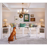 JSB dog gate in wide-open setup shows 144-inch width for hall safety.