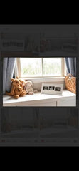 KyNora rustic frame close-up wood texture enhances warm nursery decor.