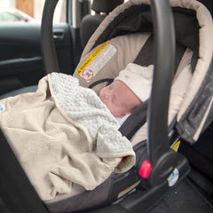 Lulumoon double-layer muslin and minky-ivory blanket design.