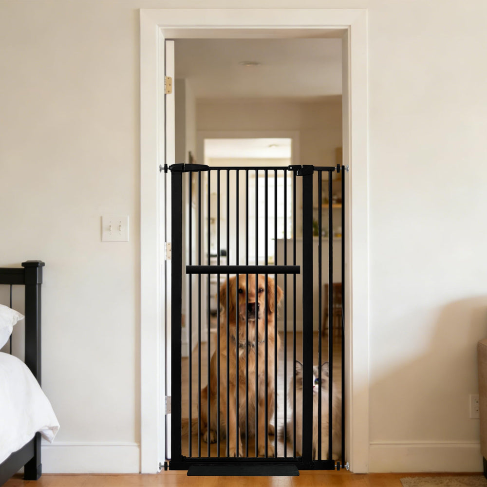 Lumizone extra tall gate in black shown keeping cats safely contained