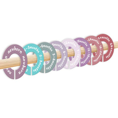 MAGITWAY dividers with high-saturation colors for instant size recognition.