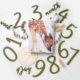 Miaoberry woodland milestone blanket with forest animals for adorable monthly photos.