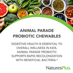 Animal Parade chewables for children support daily digestion and immune function.