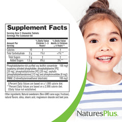 Ingredients like phosphatidylserine and DMAE listed for active brain support