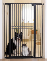 No Pawblems 55-inch gate front view blocks jumping for pets