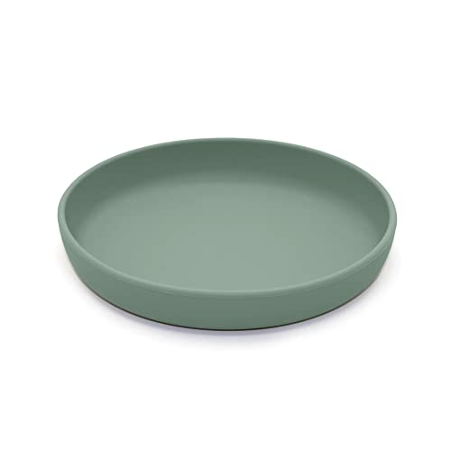 noüka fern flat plate with lip edge supports easy self-feeding.