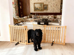 Oapety freestanding gate displayed without drilling, ideal for renters.