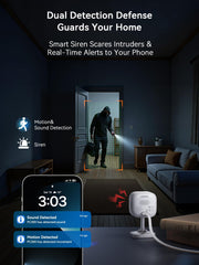Outinput pet monitor mode shows your dog's activity and playtime.