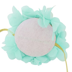 Ovenot mint birthday crown prop, ideal for baby shoots and occasions.