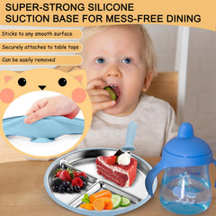 Durable 304 stainless steel plates resist scratches and odors for long-lasting use.